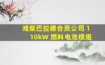 潍柴巴拉德合资公司 110kW 燃料电池模组